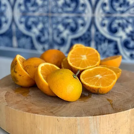 Casa Sacha Vila Carvoeiro (Lagoa)